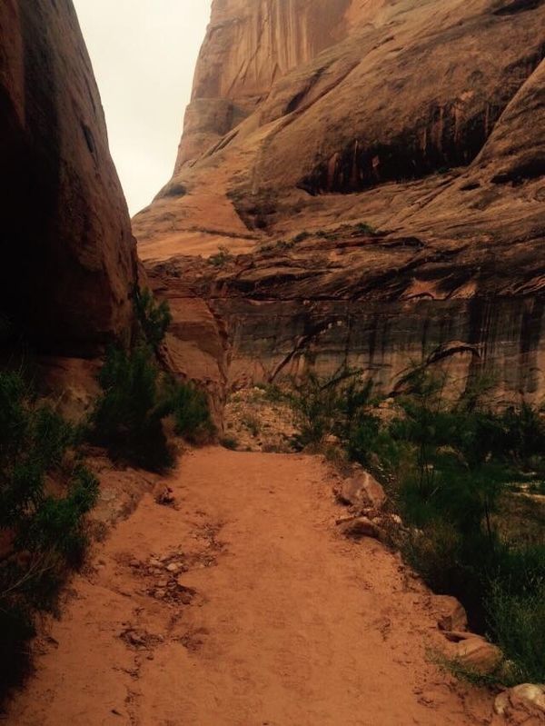 アメリカ(米国)・ホースシューベンド、モニュメントバレー、アンテロープキャニオン、レイクパウエル、レインボーブリッジ、セドナ「America🇺🇸グランドサークル」の写真