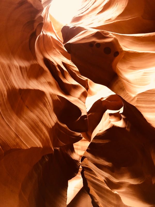 アメリカ(米国)・ロサンゼルス、ラスベガス「アメリカ旅行」の写真