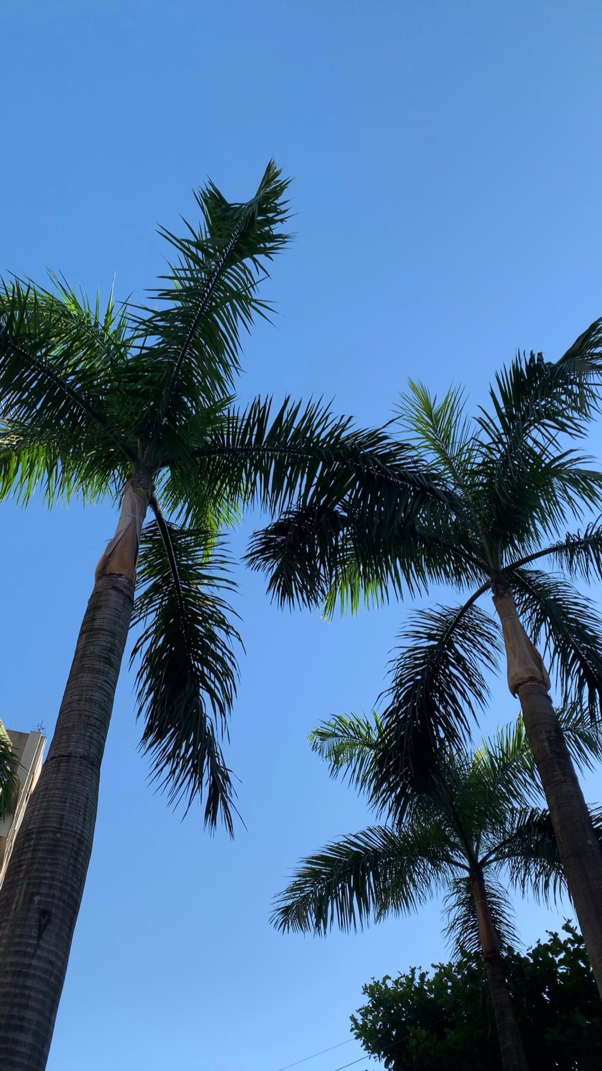 早朝の台北で朝ごはん🥢@四海豆漿大王