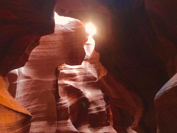 アメリカ(米国)・サンフランシスコ「アメリカ」の写真