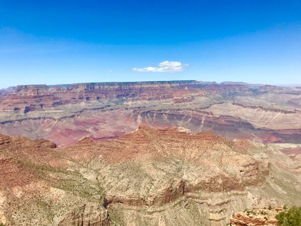 アメリカ(米国)・サンフランシスコ「アメリカ」の写真