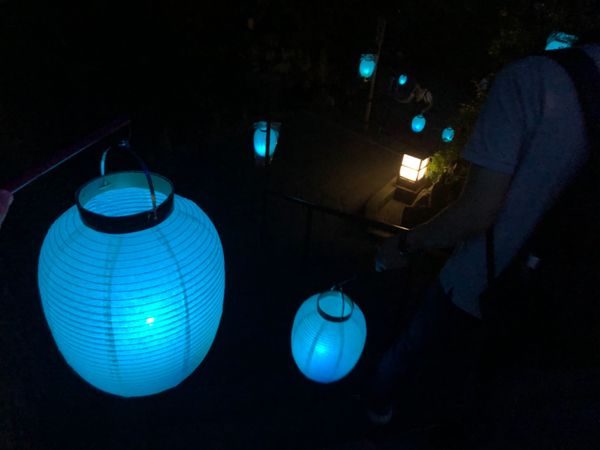 日本・鎌倉「鎌倉ライトアップ」の写真：夜の鎌倉も幻想的で素敵