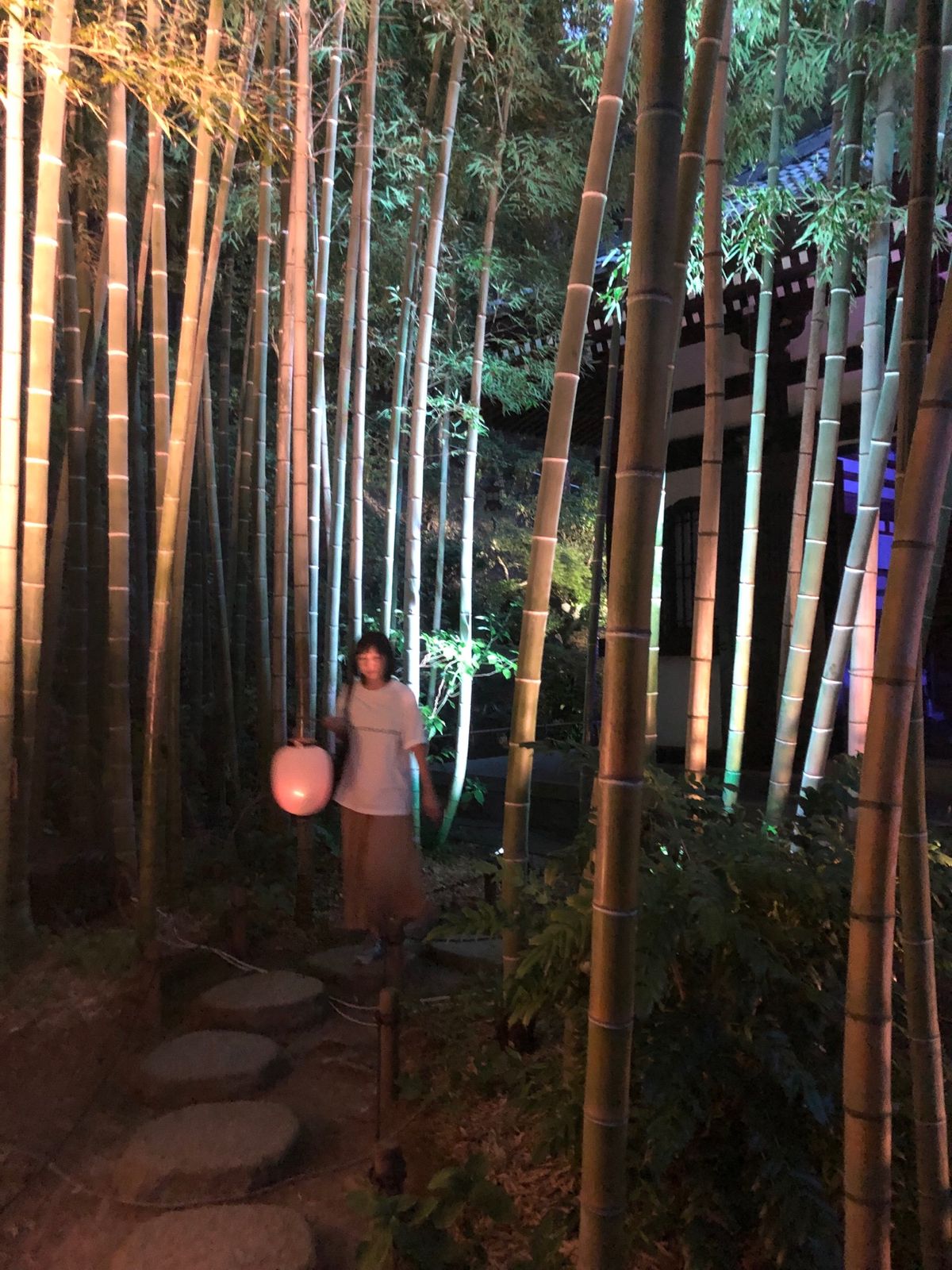 夜の鎌倉も幻想的で素敵