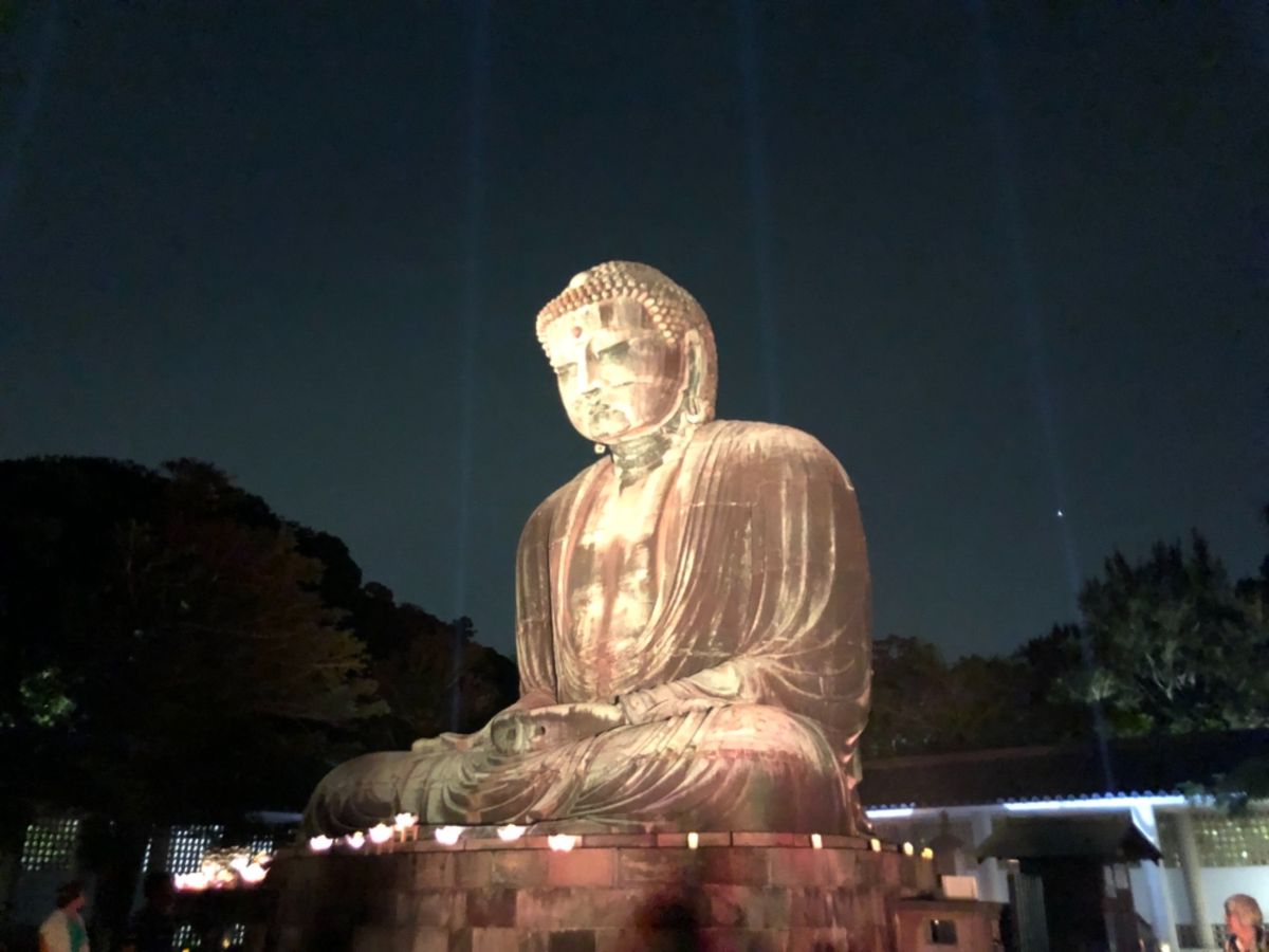 夜の鎌倉も幻想的で素敵