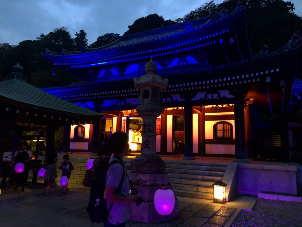 夜の鎌倉も幻想的で素敵