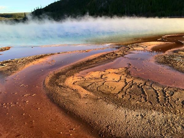 アメリカ(米国)「アメリカ北中西部の旅」の写真：イエローストーン