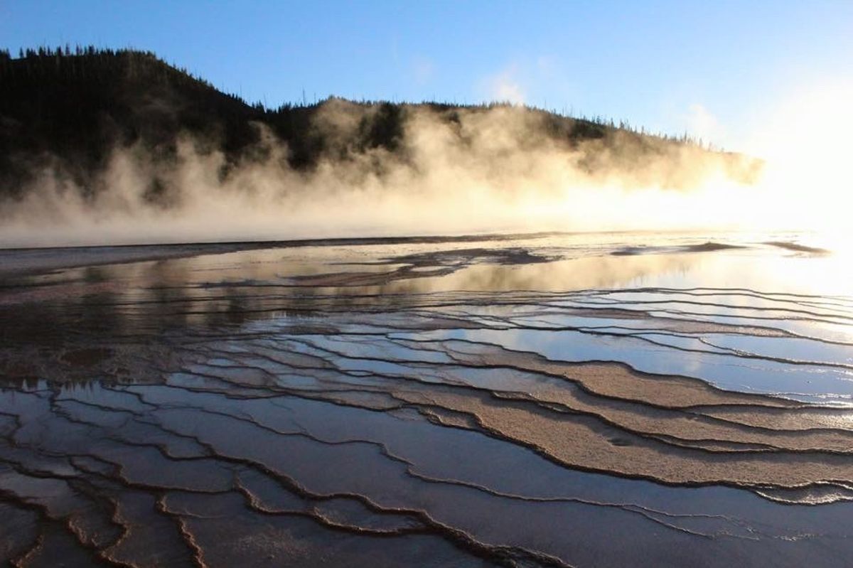 イエローストーン