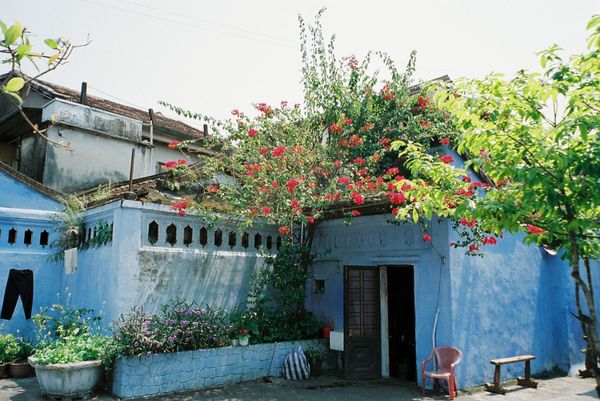 ベトナム・ダナン「ベトナム3」の写真