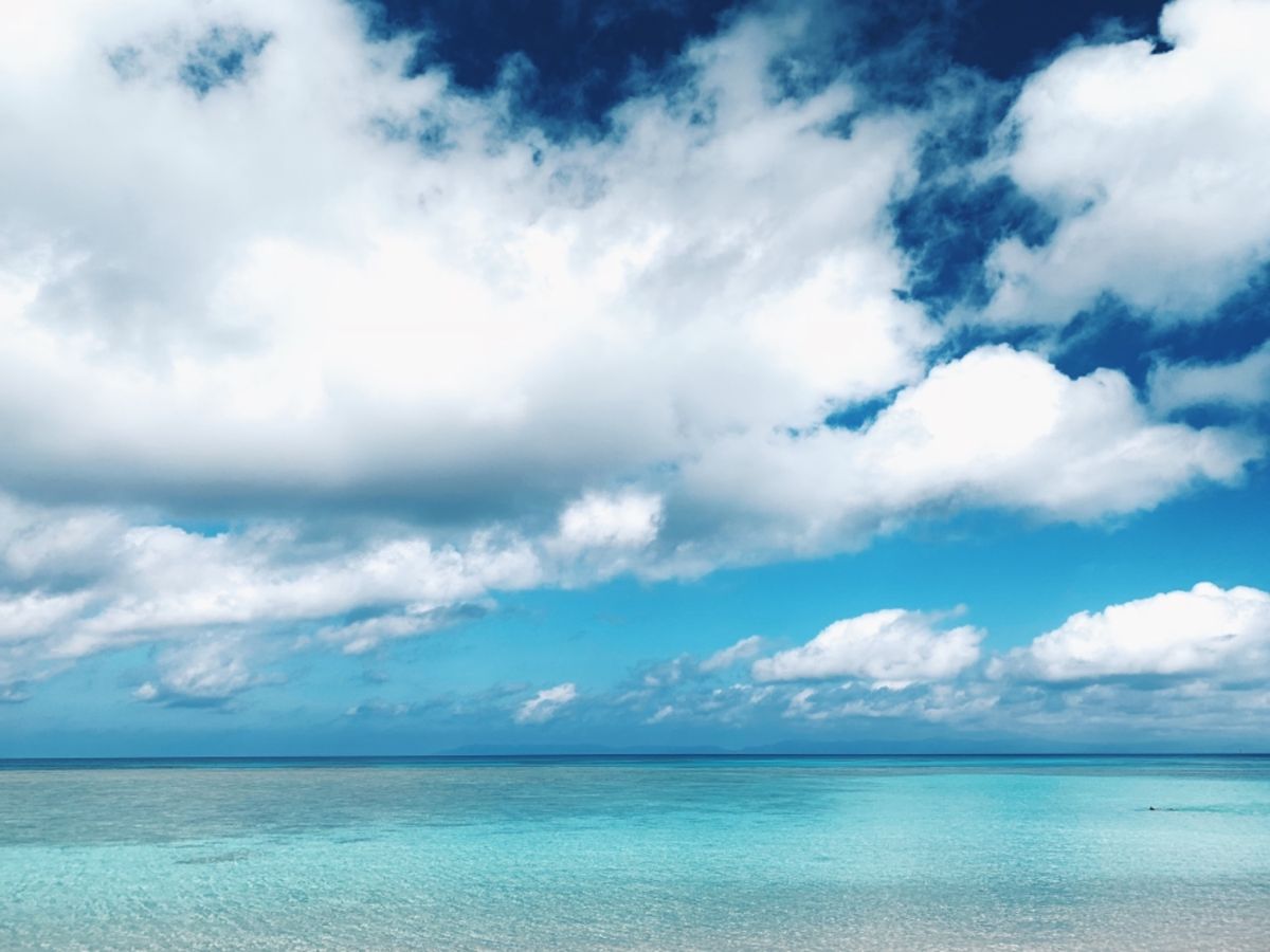 空も海もどこまでも碧い
暗闇過ぎて怖かったけど星空は吐き気がするくらいに星...