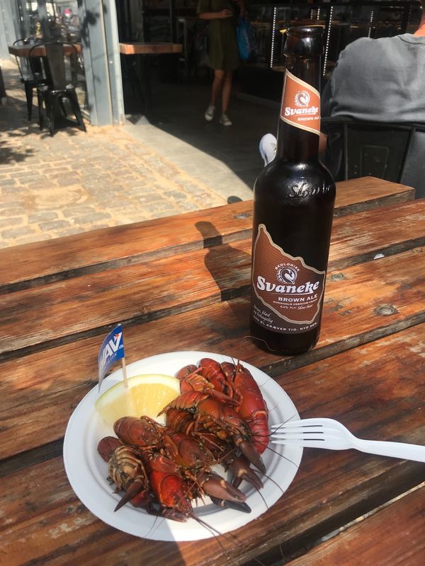 デンマーク・ニューハウン「Denmark🇩🇰Copenhagen」の写真：ザリガニ食べた☆