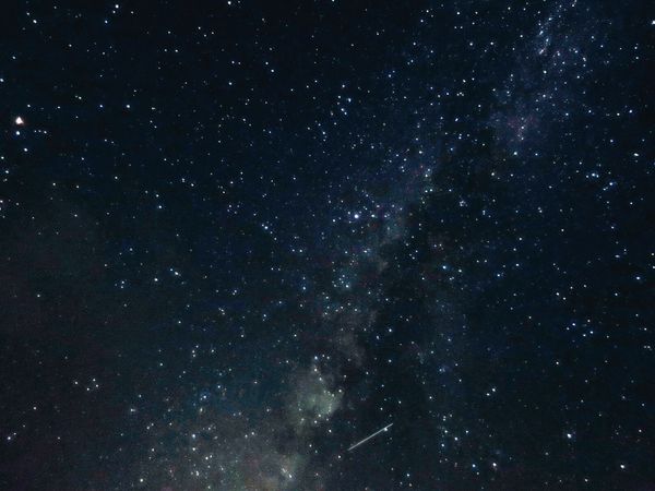 日本・波照間島「波照間島」の写真：黒島は人間より牛が多い島🐃
