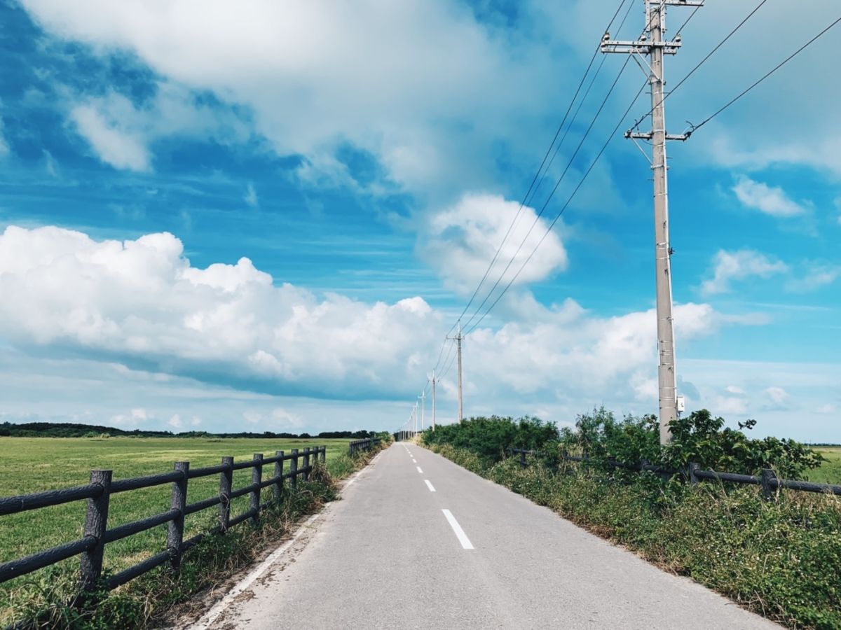 黒島は人間より牛が多い島🐃
