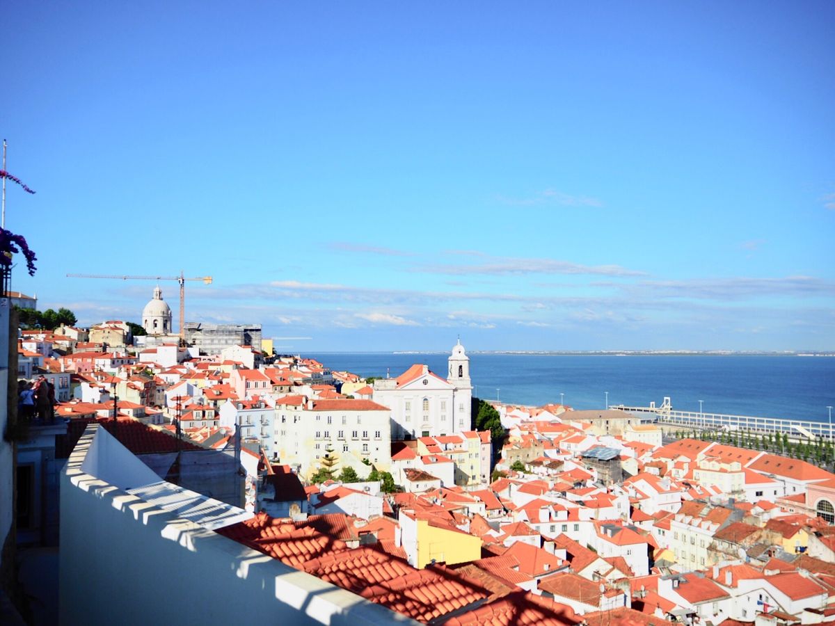 ご飯も美味しい、街並みが綺麗
トラムがローラーコースターみたいで楽しい