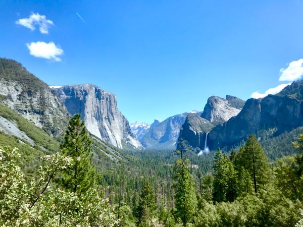 アメリカ(米国)・サンフランシスコ「アメリカ」の写真