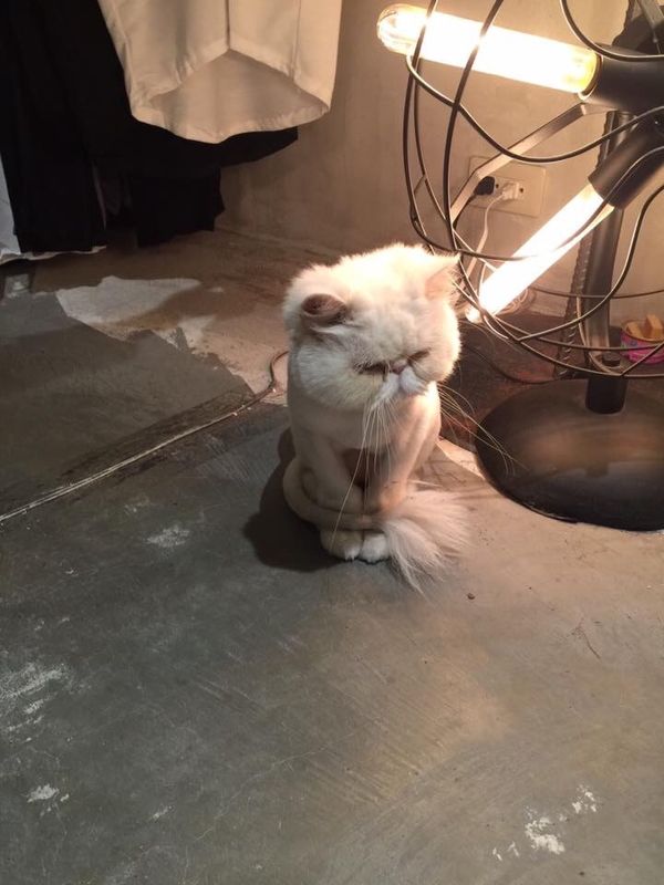 台湾・台中「Taiwan🇹🇼」の写真