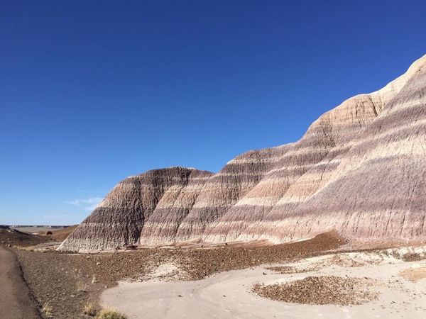 アメリカ(米国)・LA、ネバダ、アリゾナ、ニューメキシコ、テキサス「アメリカ中西部の旅」の写真：化石の森国立公園。しましま模様の山があっ...