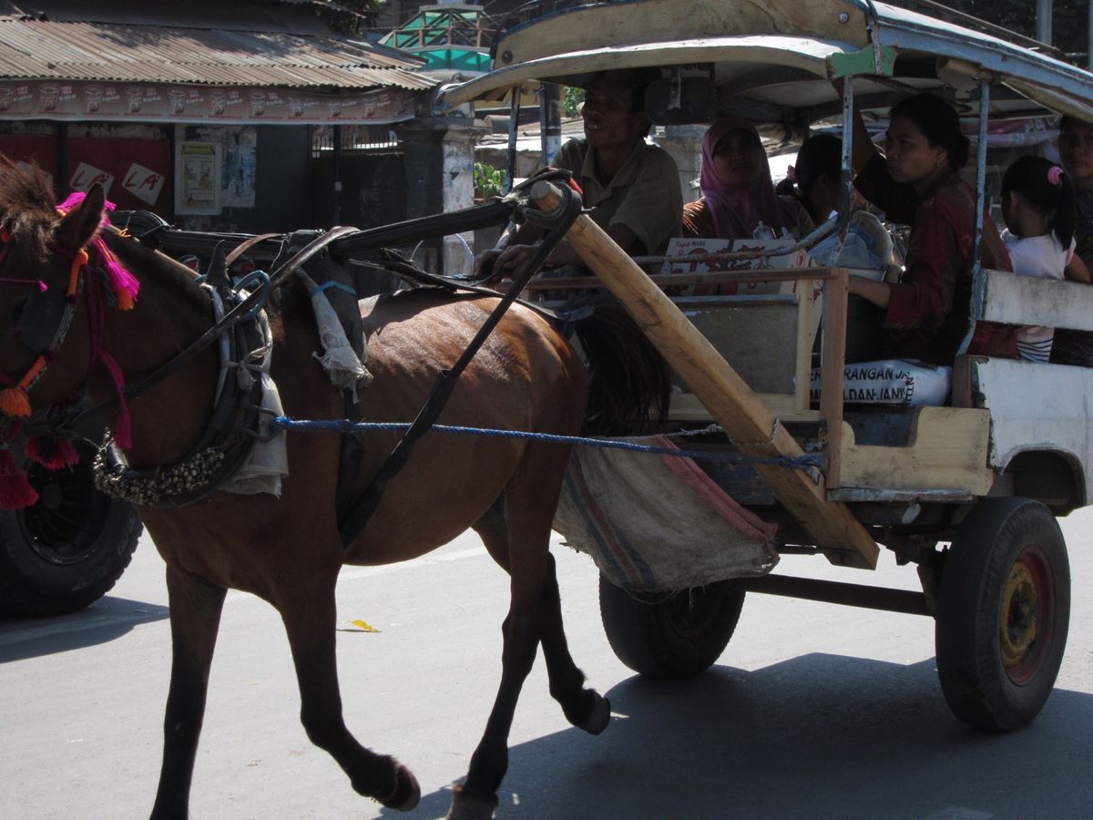 ロンボク島では馬車も走ってます。マックのドナルドの顔がちょっと変❓❓