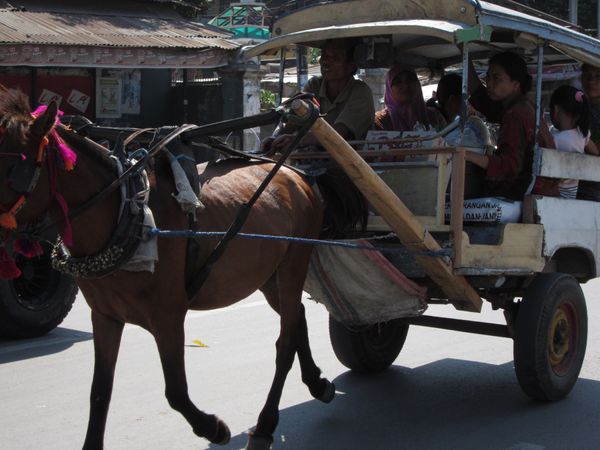 インドネシア・バリ島、ロンボク島、ギリ島「インドネシア🇮🇩三度目のロンボク島」の写真：ロンボク島では馬車も走ってます。マックの...