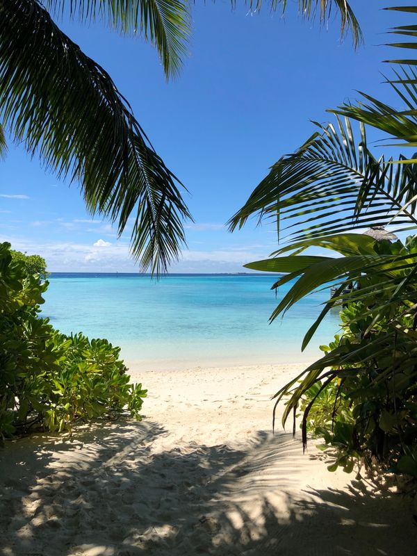 モルディブ「モルディブ」の写真