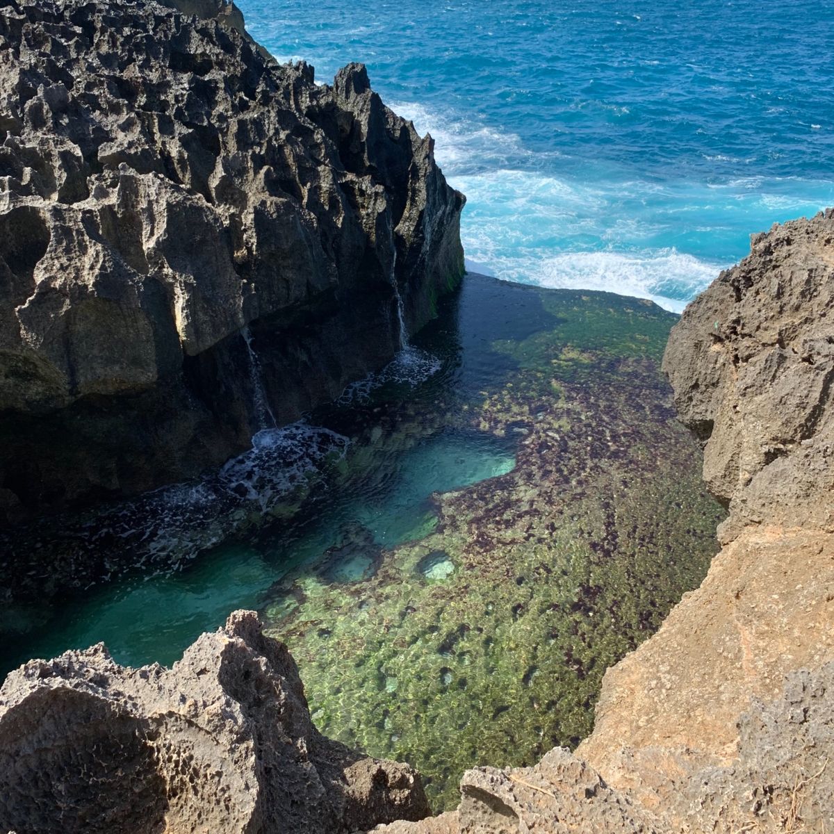 プロークンビーチ、天使のみずたまり、クリンキンビーチとくるりと1周回りまし...