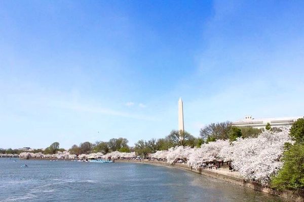 アメリカ(米国)「ワシントンDCとその近郊」の写真