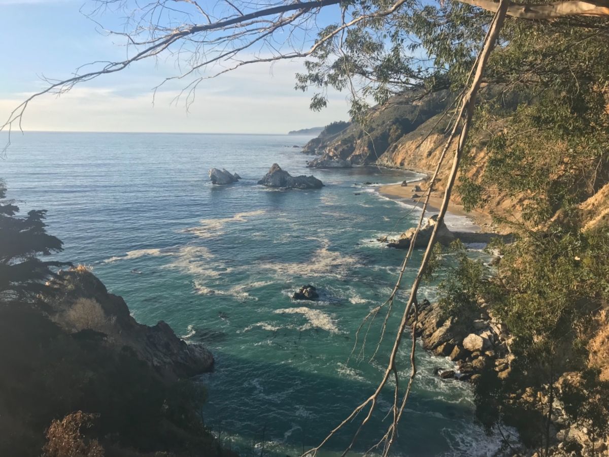 ジュリア・ファイファー・バーンズ州立公園☆