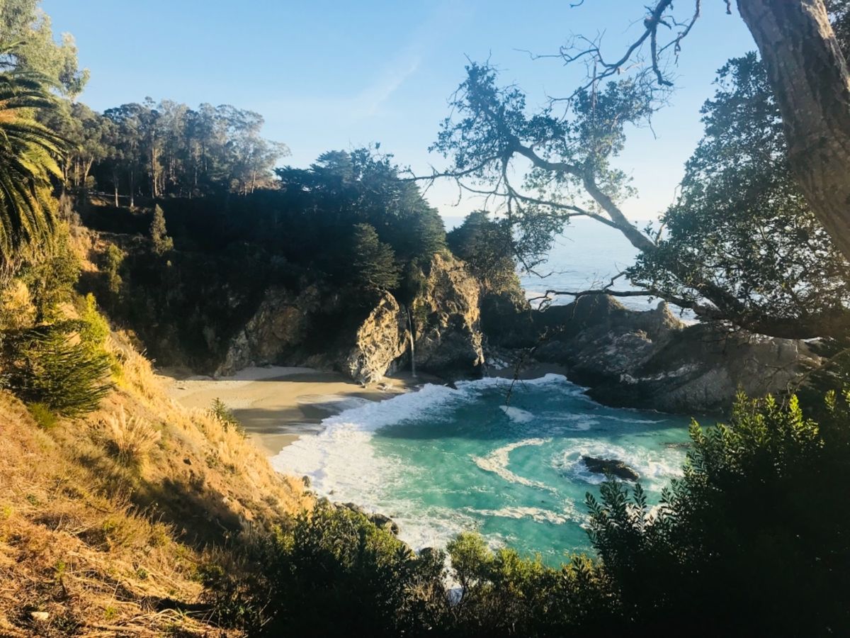 ジュリア・ファイファー・バーンズ州立公園☆