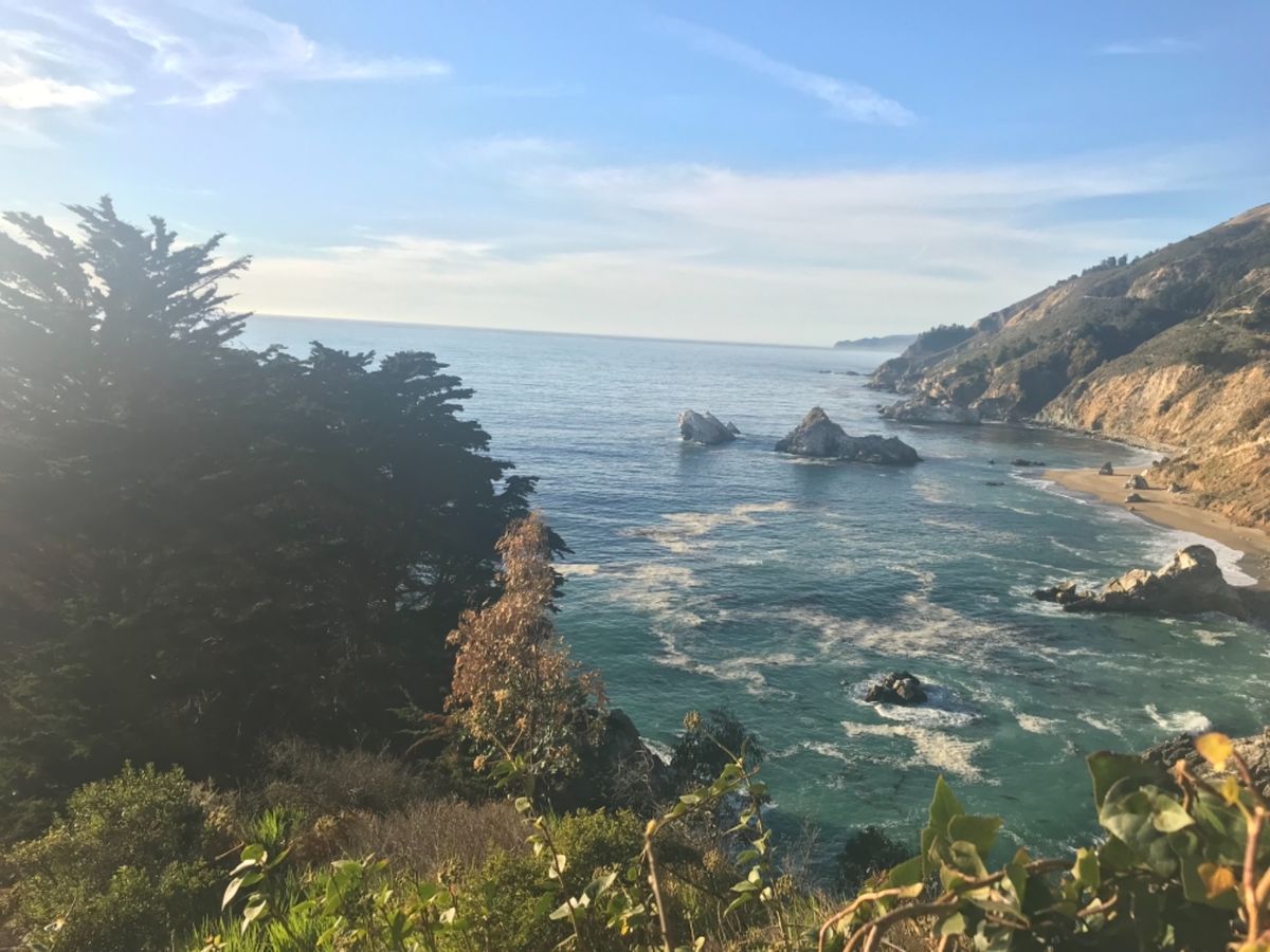 ジュリア・ファイファー・バーンズ州立公園☆