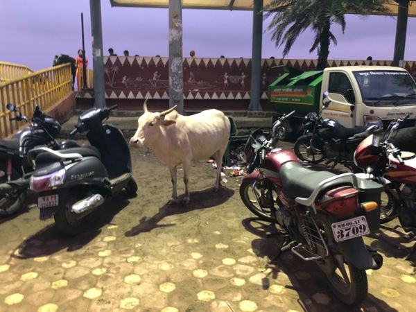 インド・ムンバイ「タイ～インド」の写真：2日目で、高熱出て死にました！病院行って...