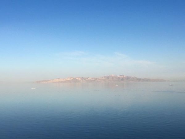 アメリカ(米国)「アメリカ北中西部の旅」の写真：グレートソルト湖、地面は羽虫がいますが(...