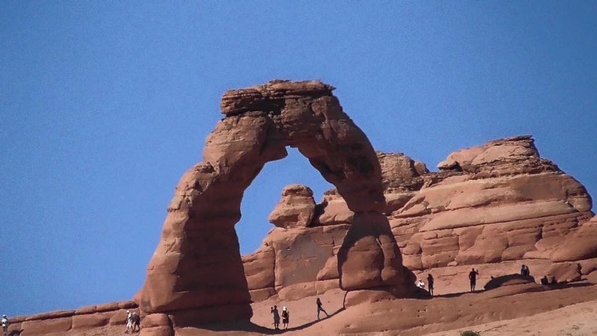 グレートソルト湖、地面は羽虫がいますが(^_^;) ウユニ塩湖チックな写真...