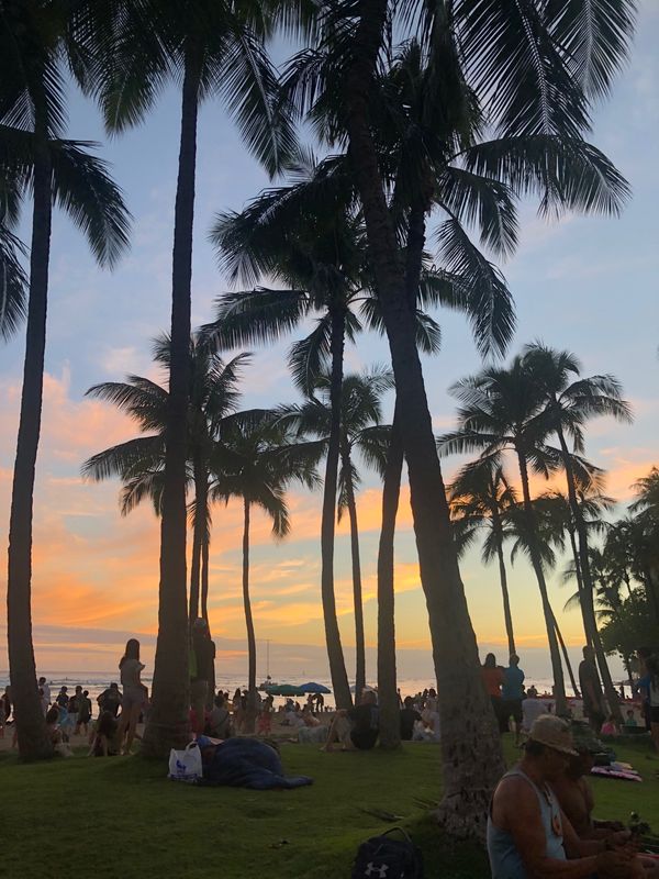 アメリカ(米国)・ホノルル「ハワイ」の写真