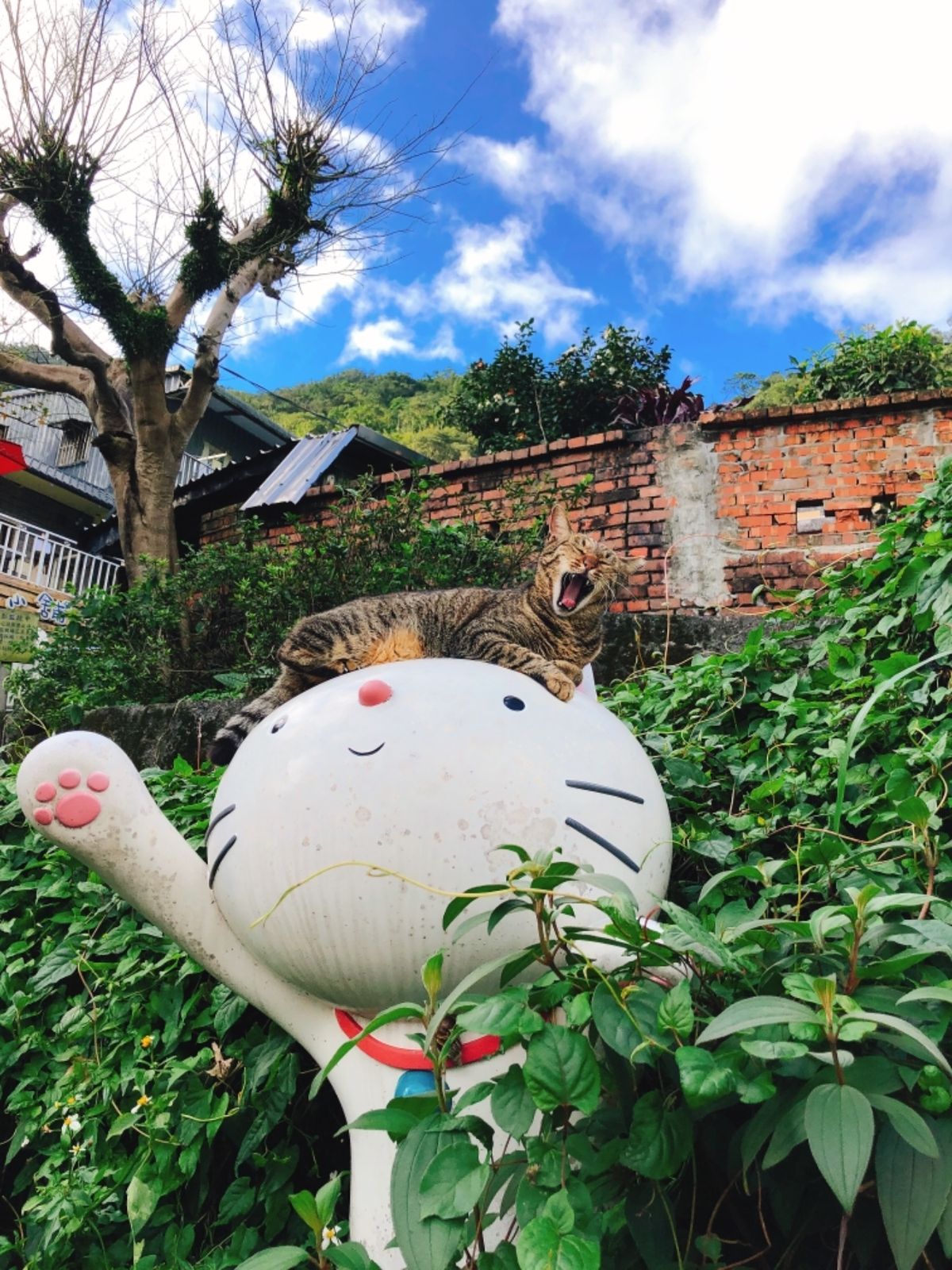 初めて台北に行く友達2人と7回目の台北。初の台北動物園でパンダやコアラ見て...