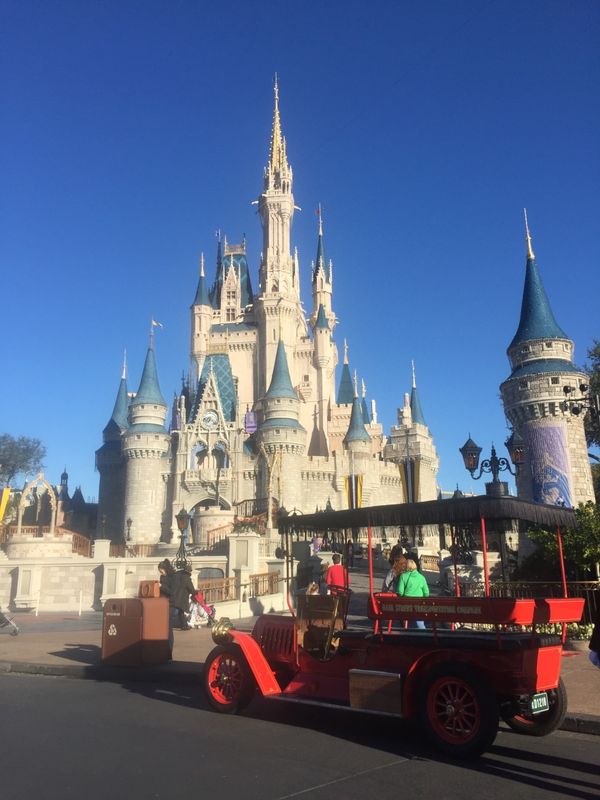 アメリカ(米国)・オーランド「アメリカ」の写真：マジック・キングダムのシンデレラ城
エプ...