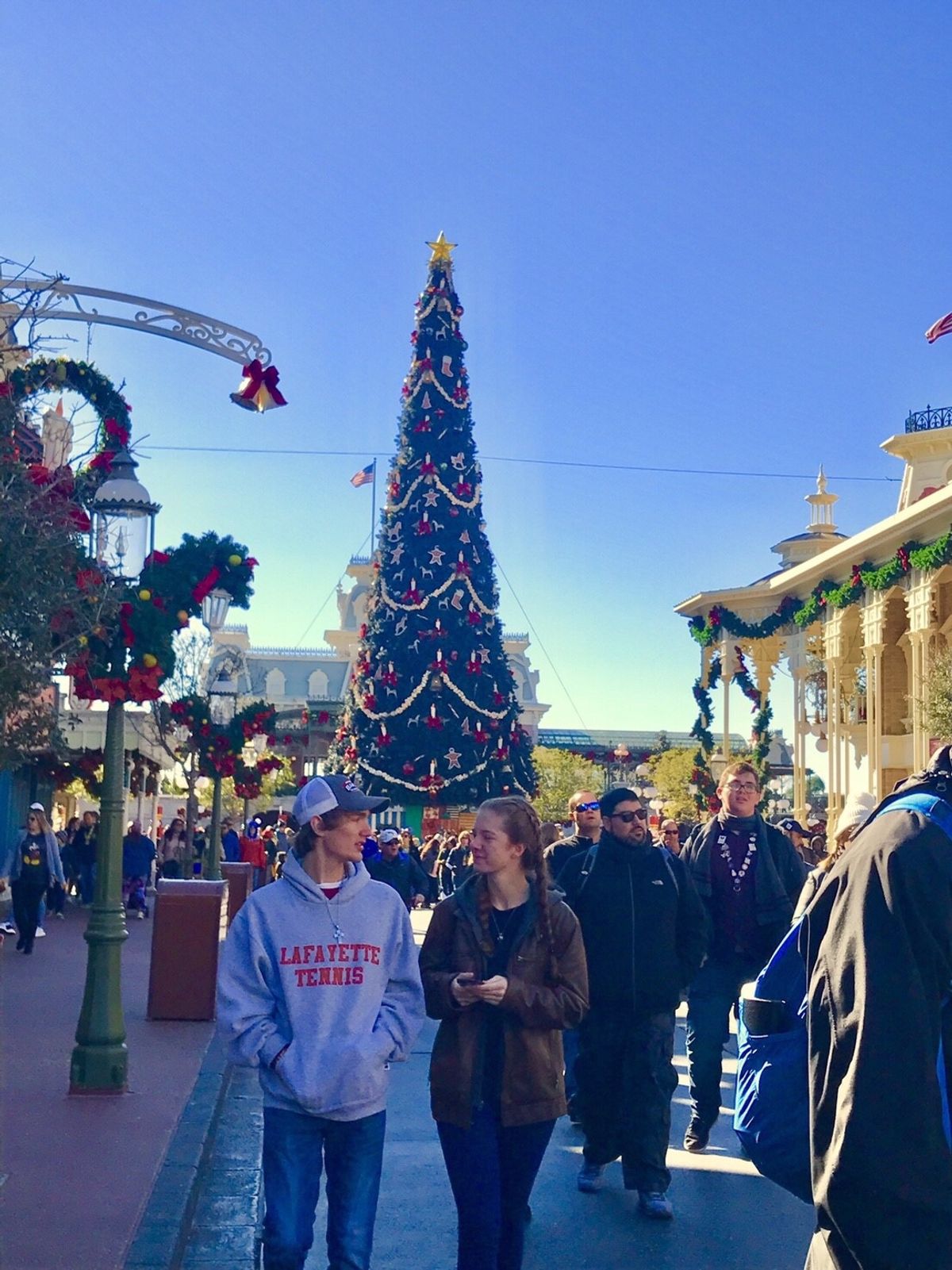 マジック・キングダムのシンデレラ城
エプコットのシンボル、スペースシップ・...