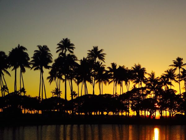 アメリカ(米国)・ハワイ「オアフ島2017」の写真