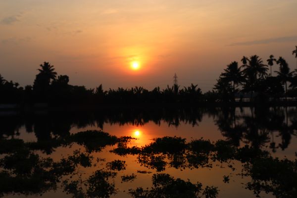 インド・デリー「南インド2018」の写真