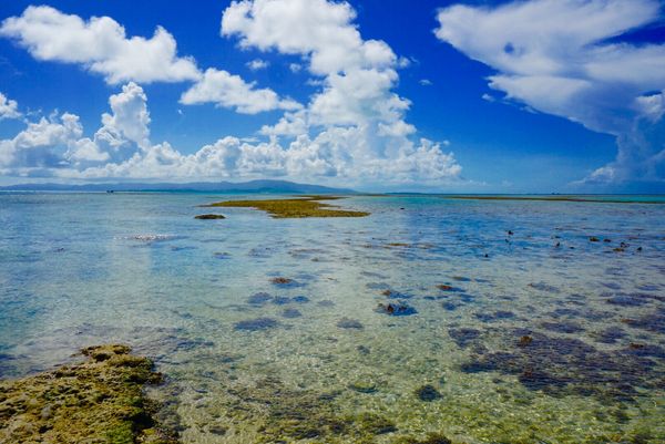 日本・石垣島、竹富島、玉取展望台、平久保崎、川平湾、フサキ「石垣島」の写真