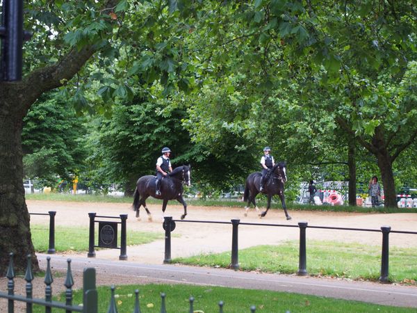 イギリス(英国)・ロンドン「イギリス」の写真：ロンドン