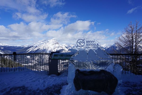 カナダ・バンクーバー、バンフ、カルガリー「冬のカルガリー、バンクーバー」の写真