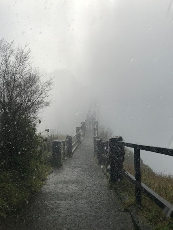 ザンビア・ビクトリアフォールズ「Africa」の写真：ビクトリアフォールズ