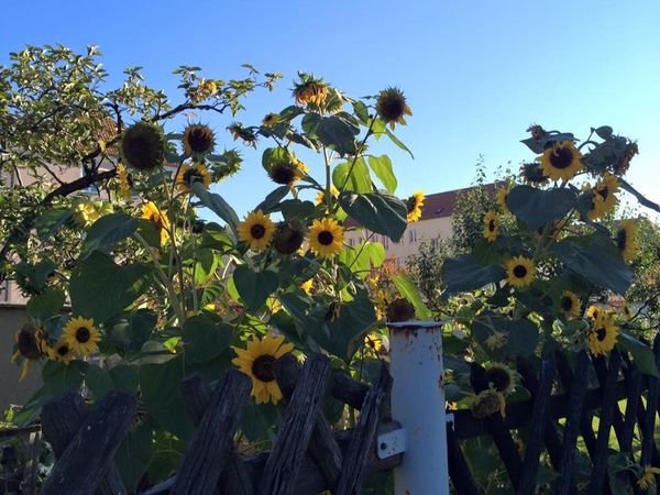 ドイツ・ベルリン、ドレスデン「Germany🇩🇪Berlin/Dresden/Lubbenau」の写真