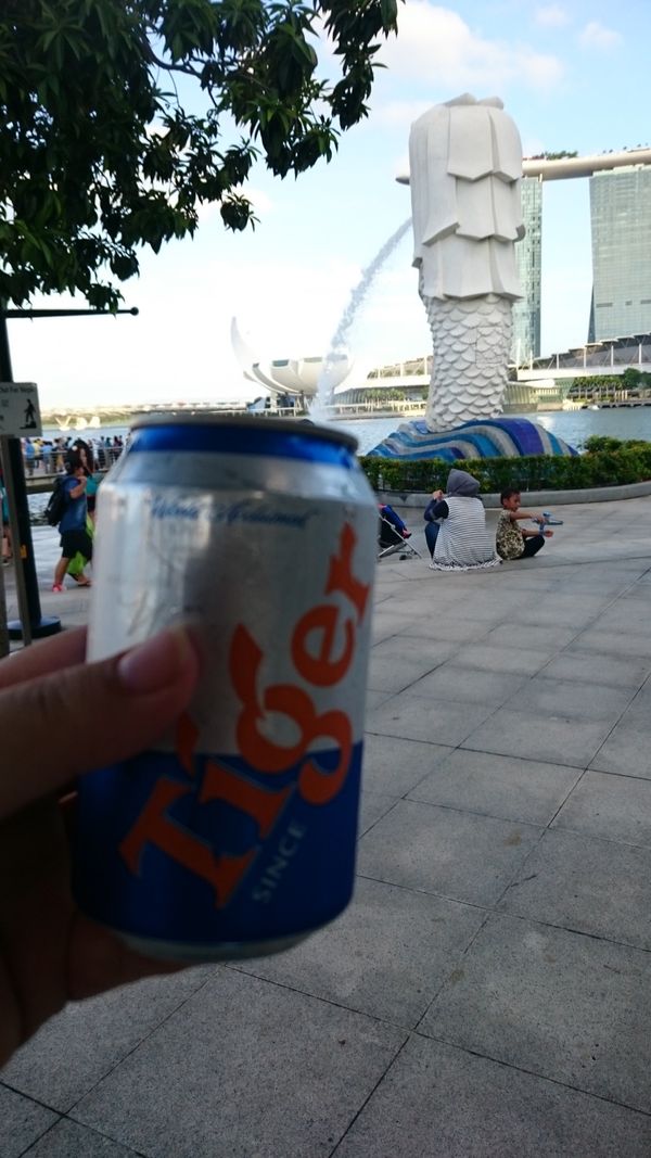 シンガポール「シンガポール」の写真