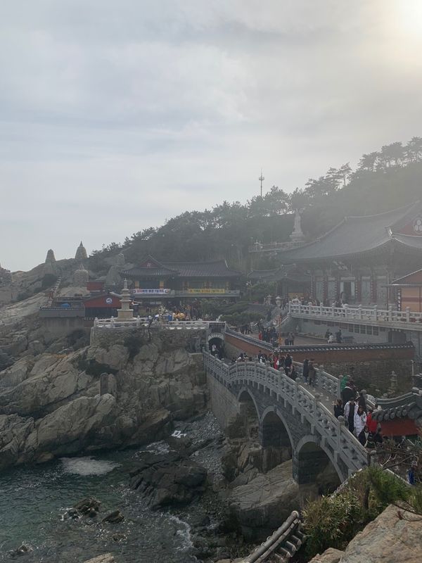 大韓民国 (韓国)・釜山「釜山５人旅」の写真