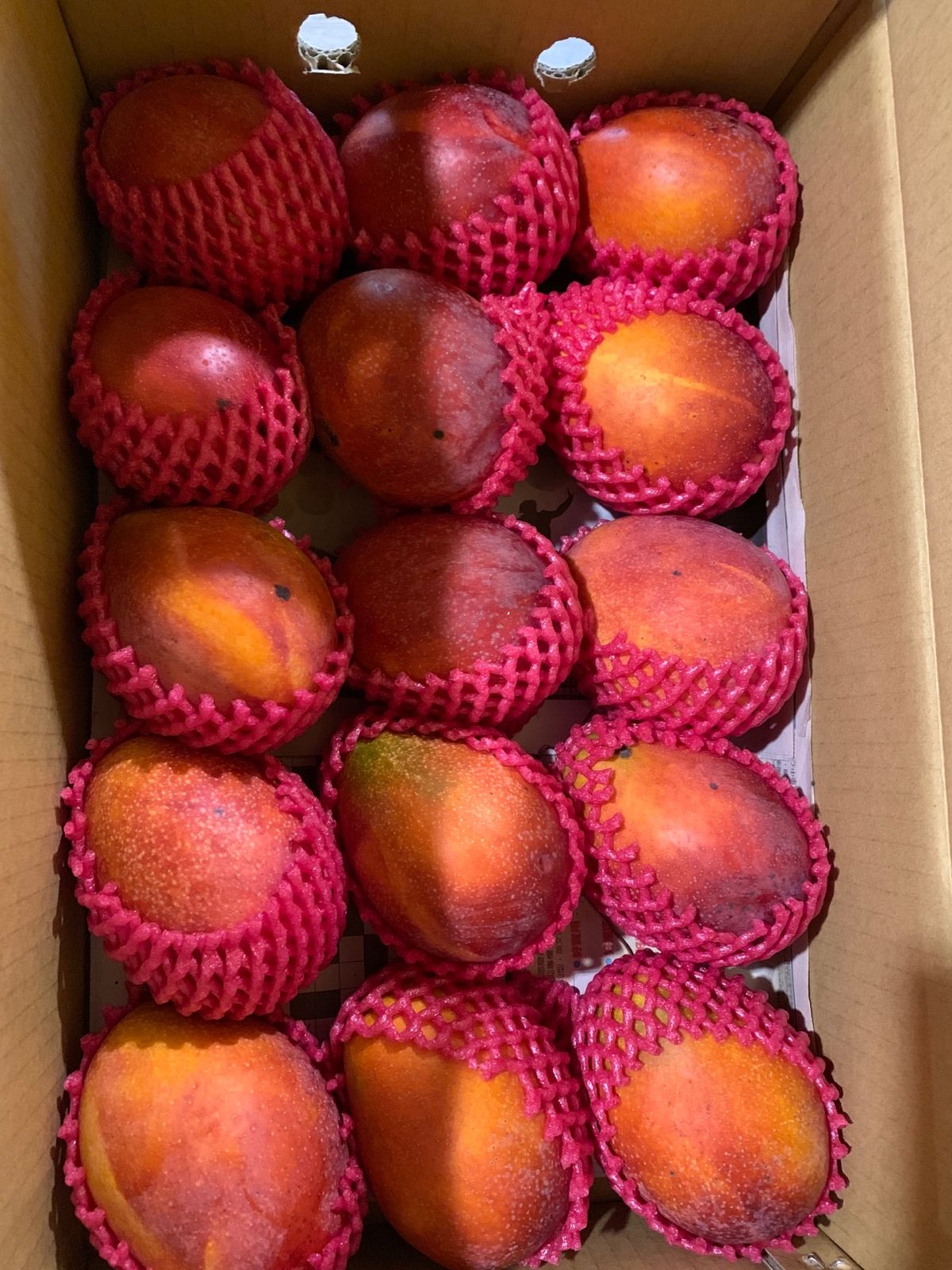 真夏に行ったかいがあった！ GOMAN MANGO