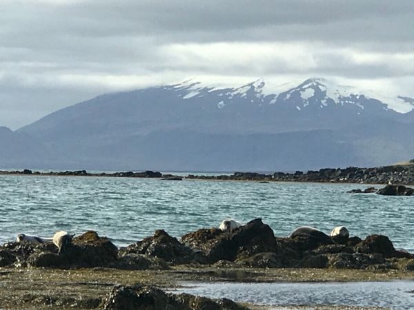 アイスランド・レイキャビーク「アイスランド」の写真