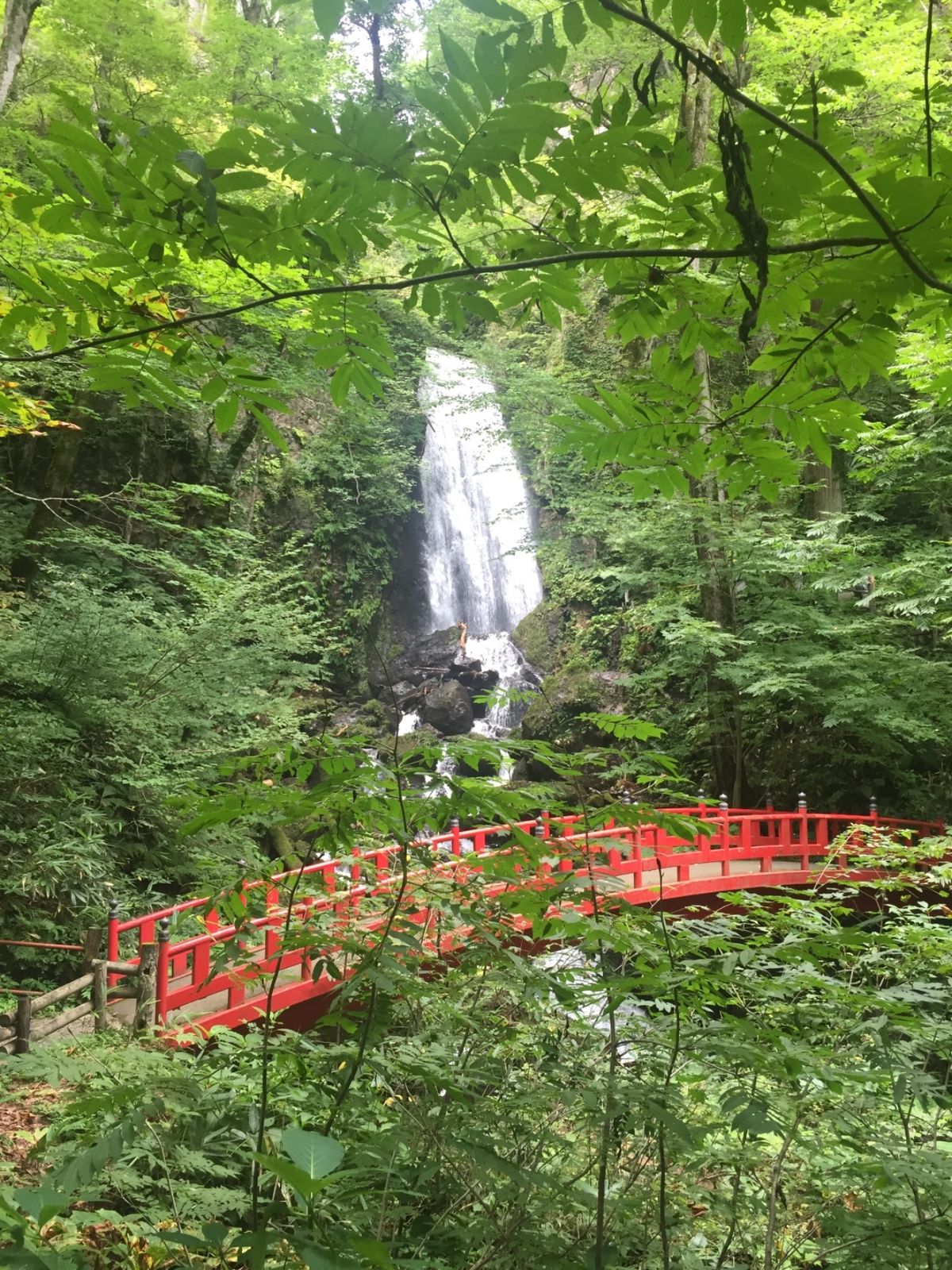 八幡平市にある桜松神社内の「縁結びの木」、神社の奥にある、日本の滝百選「不...