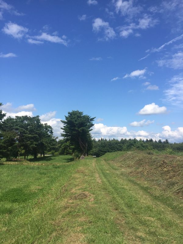 日本・遠野「盛岡」の写真：ここもロケ地の「ジオファーム八幡平」

...