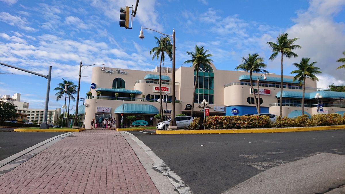 アウトバッグステーキハウス
ブルーミン・オニオン:花が咲いた様なフライドオ...