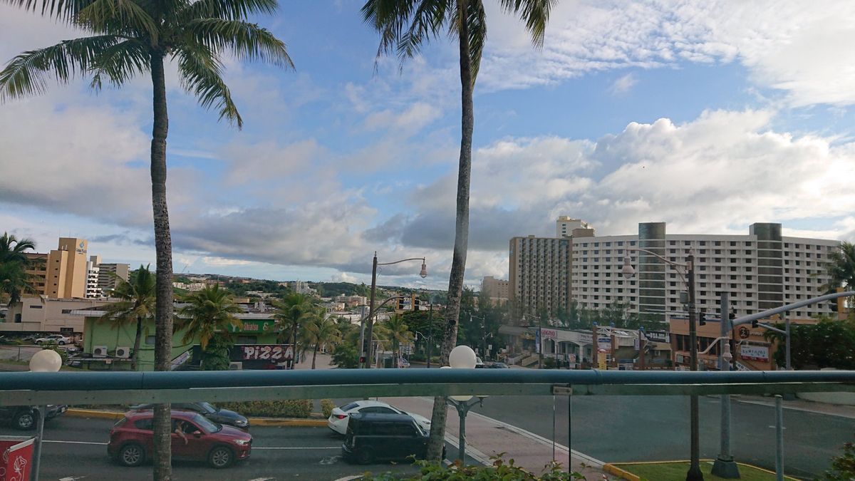 アウトバッグステーキハウス
ブルーミン・オニオン:花が咲いた様なフライドオ...